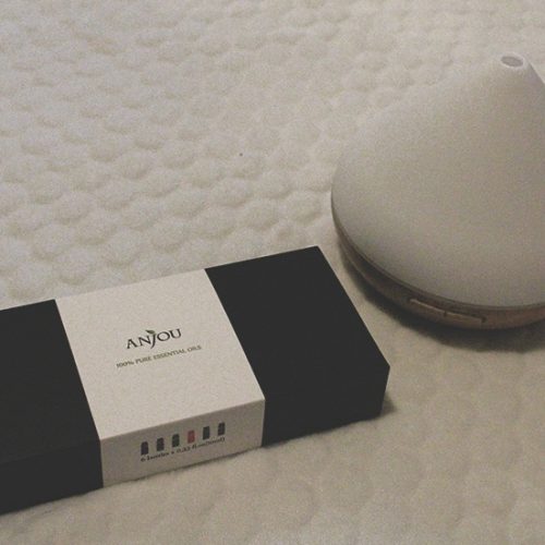 Anjou Essential Oil Gift Set Review *